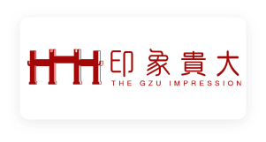 印象贵大